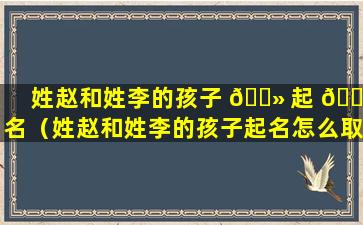 姓赵和姓李的孩子 🌻 起 🐒 名（姓赵和姓李的孩子起名怎么取）